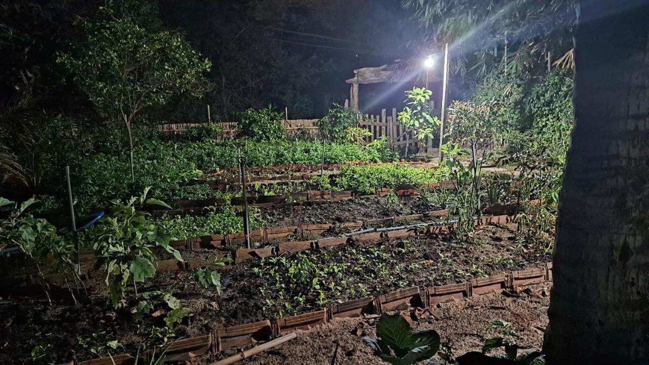 Homestay Dat Phu Tuy Hoa Eksteriør billede