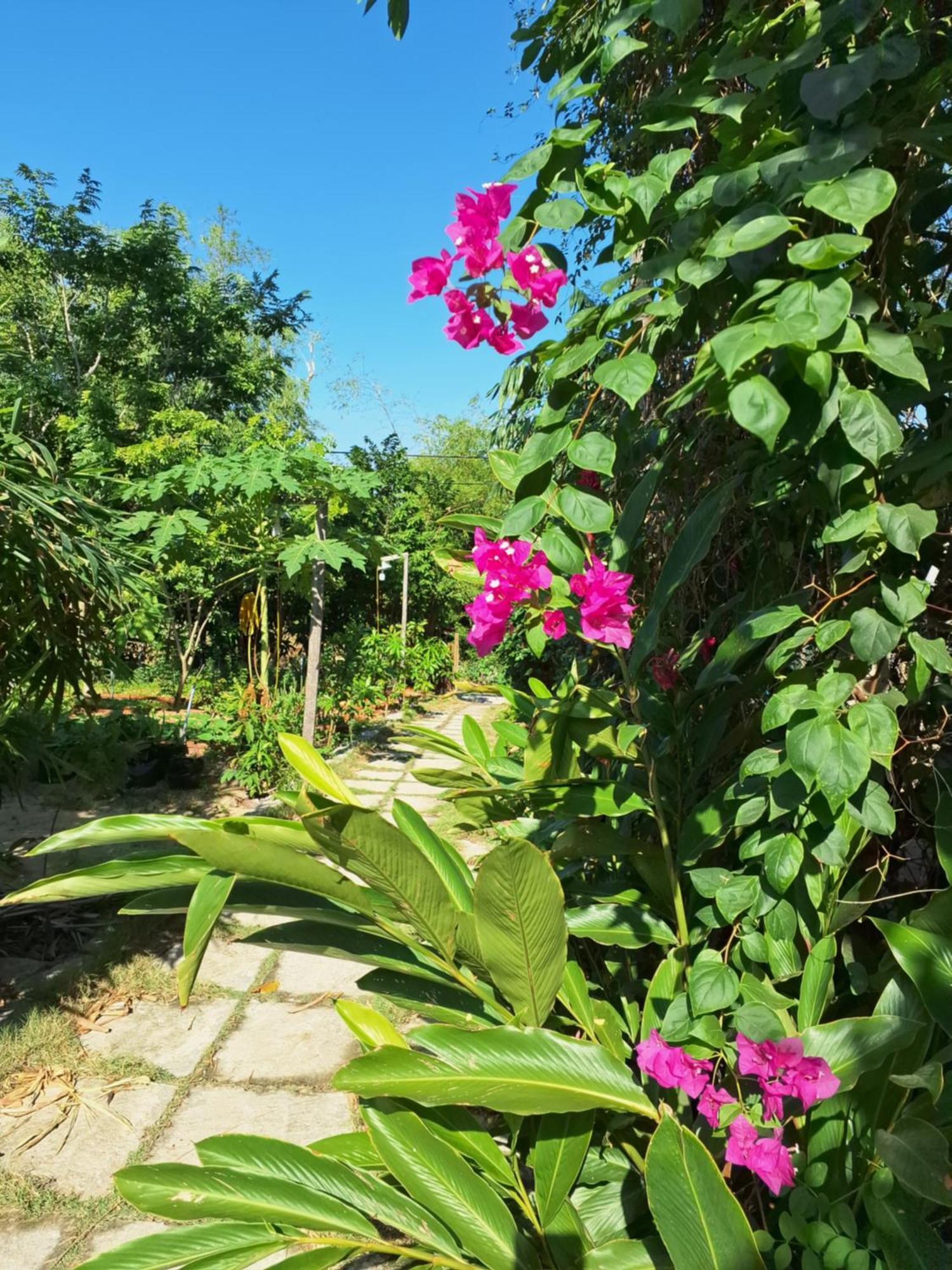 Homestay Dat Phu Tuy Hoa Eksteriør billede