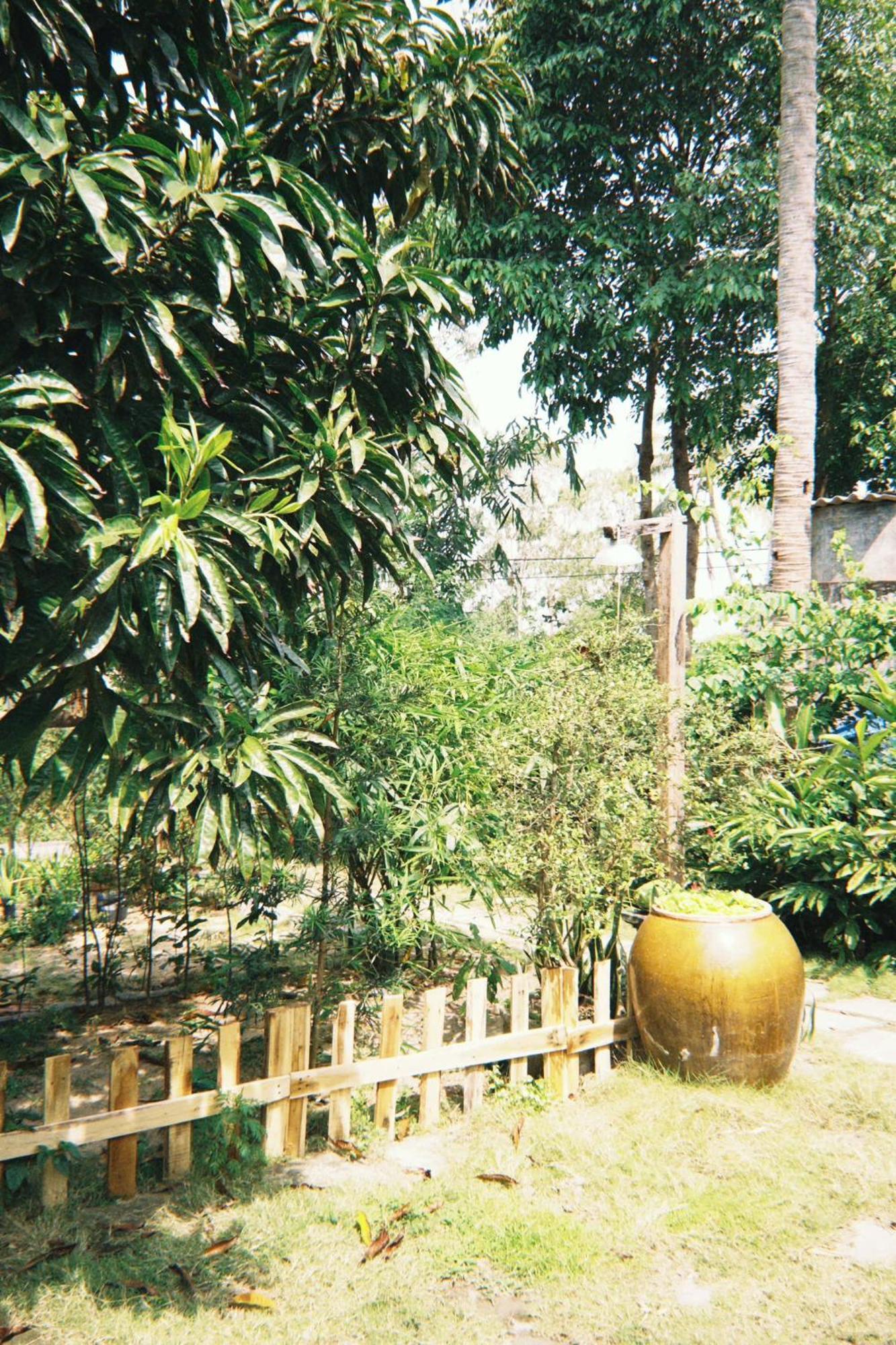 Homestay Dat Phu Tuy Hoa Eksteriør billede